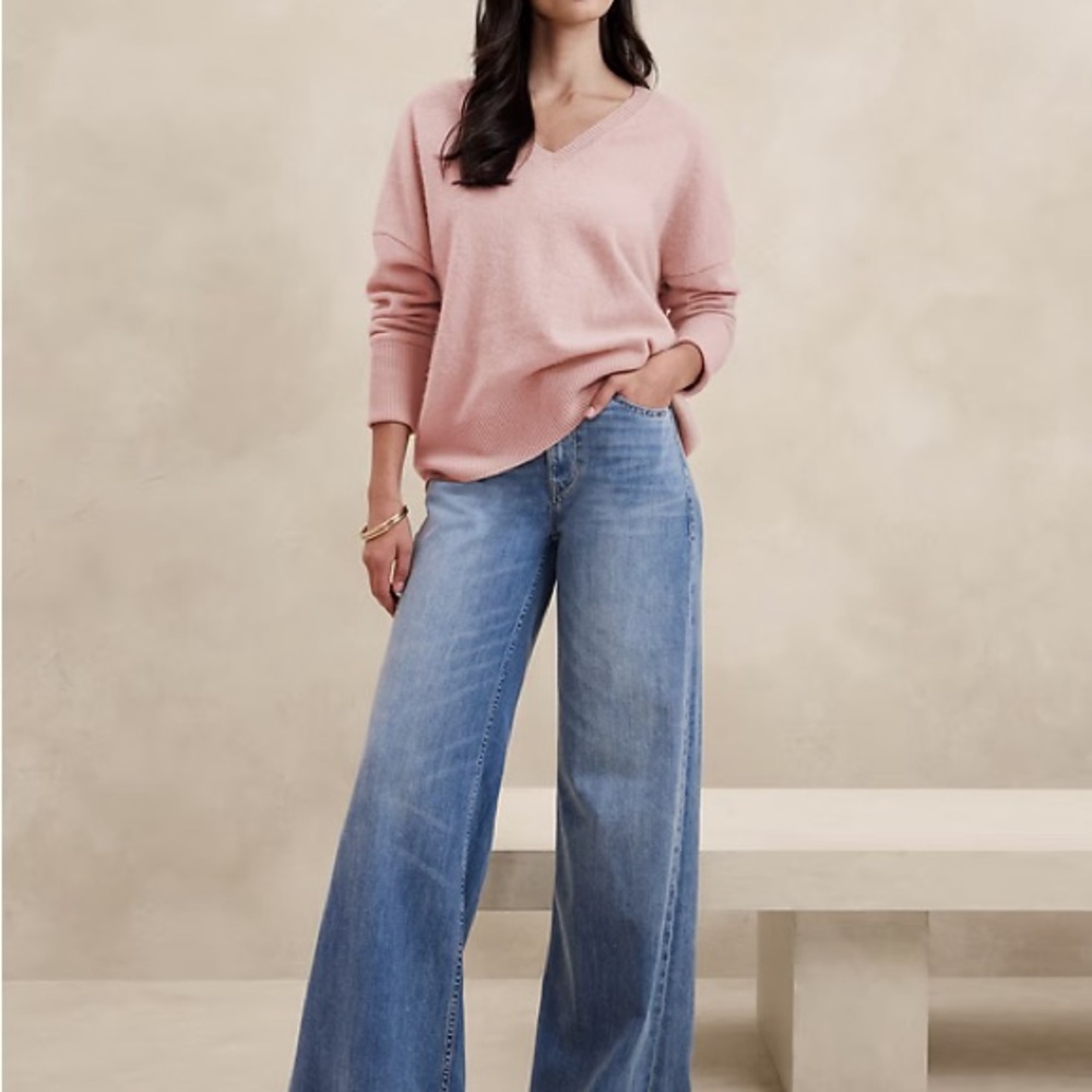 Banana Republic Astrid Boiled Cashmere V-Neck Sweater